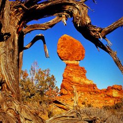 NatParks_22-24_CPI_1_Alvin_Riesbeck_Balanced_Rock__1__sm