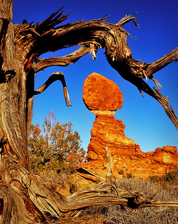 NatParks_22-24_CPI_1_Alvin_Riesbeck_Balanced_Rock__1__sm